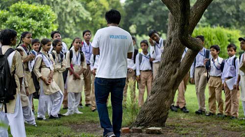 volunteer